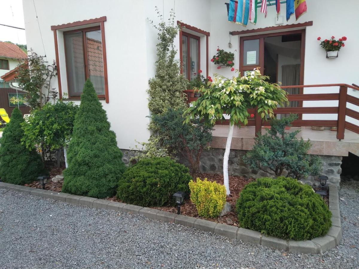 Apartamento Raza Soarelui Sovata Exterior foto